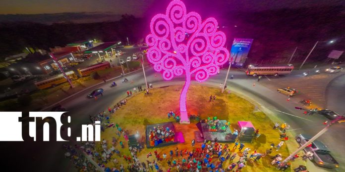 Foto: Masaya enciende su quinto Árbol de la Vida en honor a Leonel Rugama/TN8