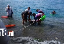 Granada suma su primer fallecido en el inicio de la Semana Santa Foto: Granada suma su primer fallecido en el inicio de la Semana Santa/TN8