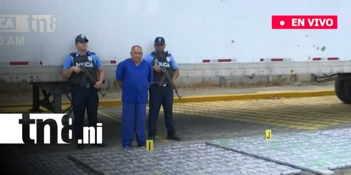 Foto: Golpe al narcotráfico / Cortesía