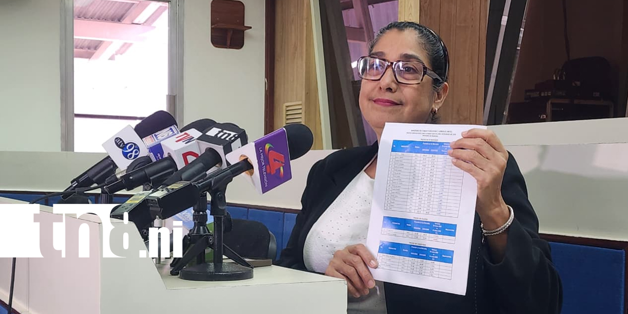 Foto: Precios de la canasta básica permanecen estables en los mercados de Managua /TN8
