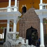 Foto: La Casa de Los Tres Mundos: Historia, belleza y sabor en Granada/TN8