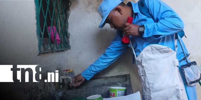 Foto: MINSA refuerzan prevención contra zancudos en Managua/Cortesía Foto: MINSA refuerzan prevención contra zancudos en Managua/Cortesía