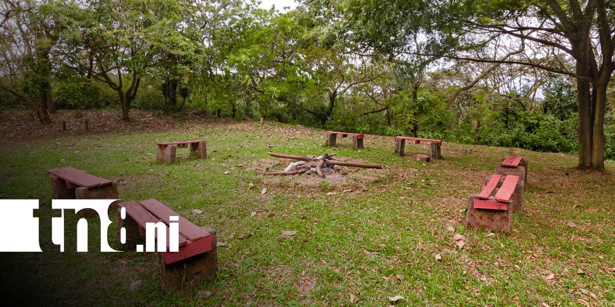 Foto: El Crucero ofrece turismo natural en Finca Las Delicias/TN8