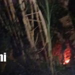 Foto: Incendio avanza sin control en Ometepe y alarma a pobladores/TN8