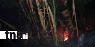 Foto: Incendio avanza sin control en Ometepe y alarma a pobladores/TN8