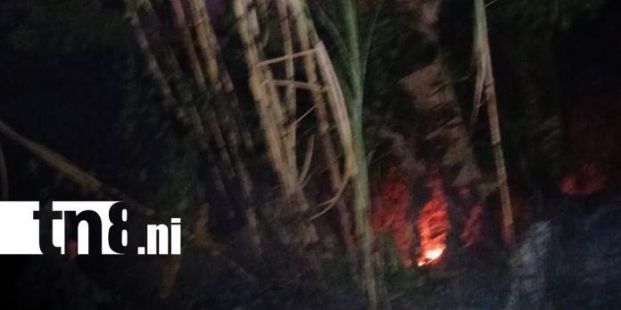 Foto: Incendio avanza sin control en Ometepe y alarma a pobladores/TN8