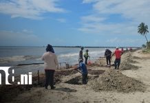 Puerto Cabezas se prepara para un Verano 2026 limpio y seguro Foto: Plan Verano 2026 en Puerto Cabezas /TN8
