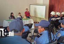 Promotoría Solidaria activa plan en Granada para Semana Santa Foto: Granada refuerza seguridad con Promotoría Solidaria para verano/TN8