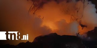 Foto: Incendio en Las Torres casi provoca tragedia en Managua/TN8