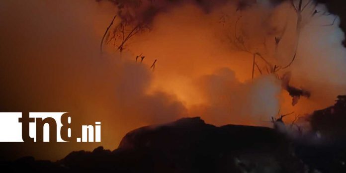 Foto: Incendio en Las Torres casi provoca tragedia en Managua/TN8