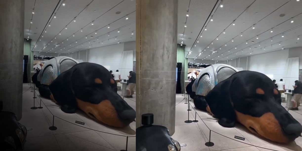 Foto: Bangkok celebra la instalación interactiva más tierna del año/Cortesía