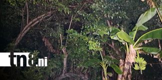 Foto: Lluvia inesperada ayuda a sofocar incendio forestal en la Isla de Ometepe/TN8