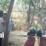 Foto: Trágica muerte de adulto mayor tras ser atacado por un cerdo en Malpaisillo, León/TN8