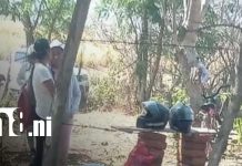 Trágica muerte de adulto mayor tras ser atacado por un cerdo en Malpaisillo, León Foto: Trágica muerte de adulto mayor tras ser atacado por un cerdo en Malpaisillo, León/TN8