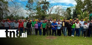 Foto: Ejército refuerza plan contra incendios/TN8
