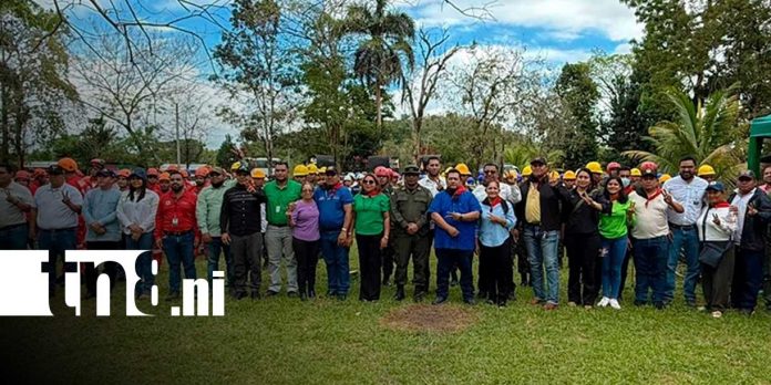 Foto: Ejército refuerza plan contra incendios/TN8