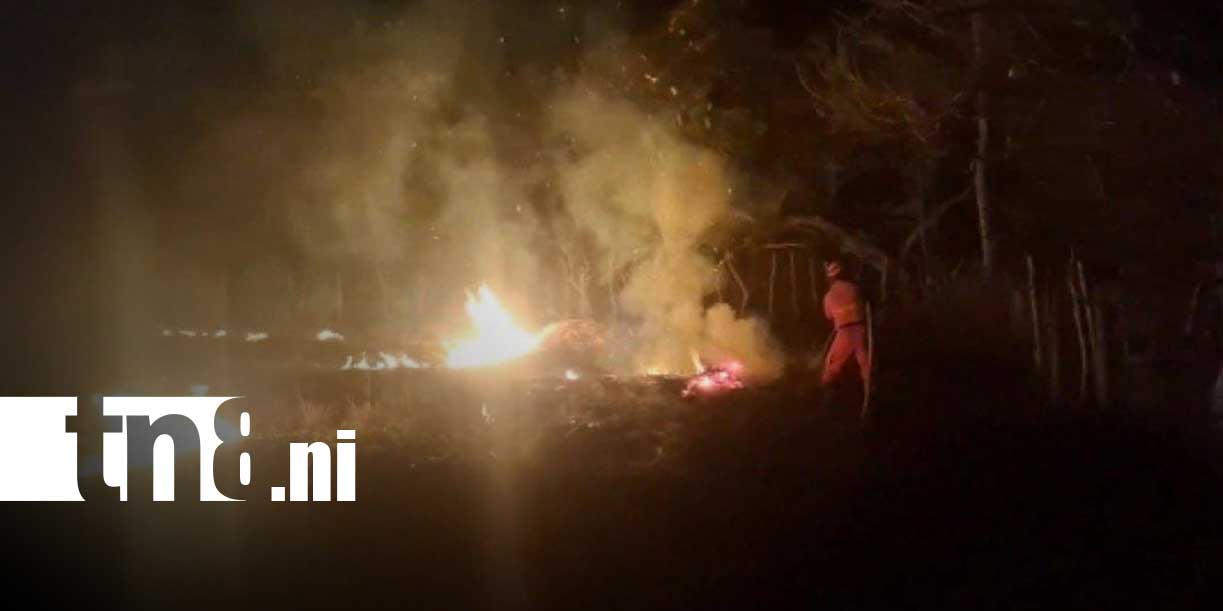 Foto: Incendio de maleza moviliza bomberos en Granada/TN8