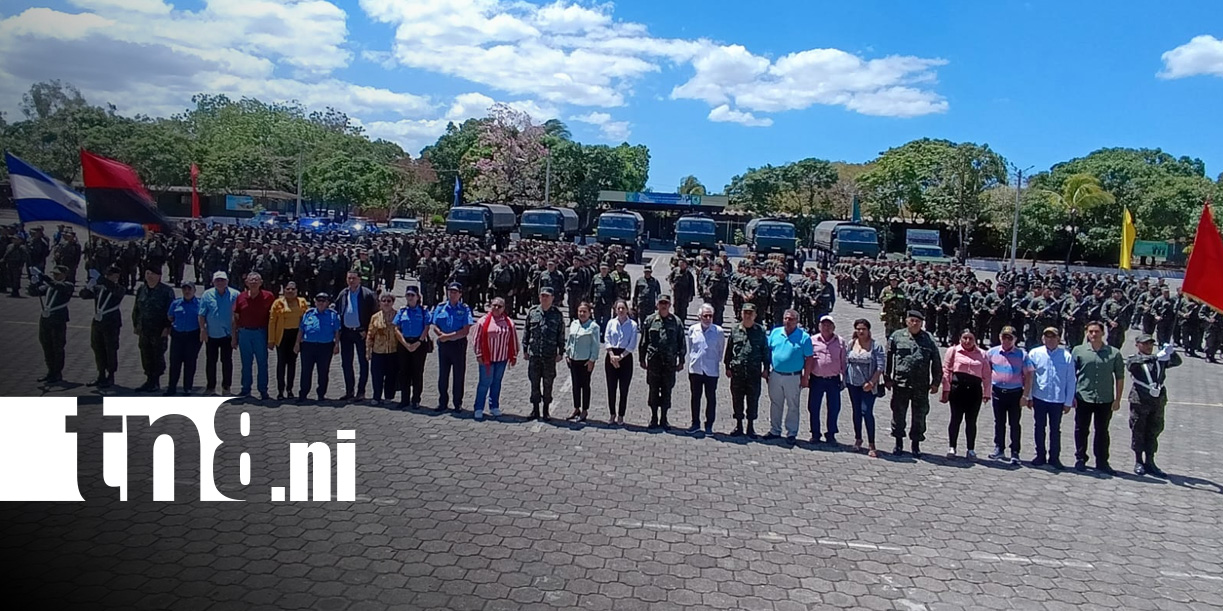 Foto: Cosecha cafetalera 2025-2026 en Nicaragua /TN8