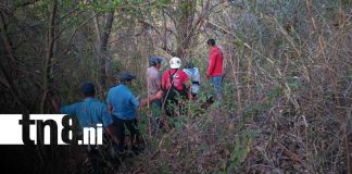 Foto: Abejas provocan muerte de joven en El Coyotepe/TN8