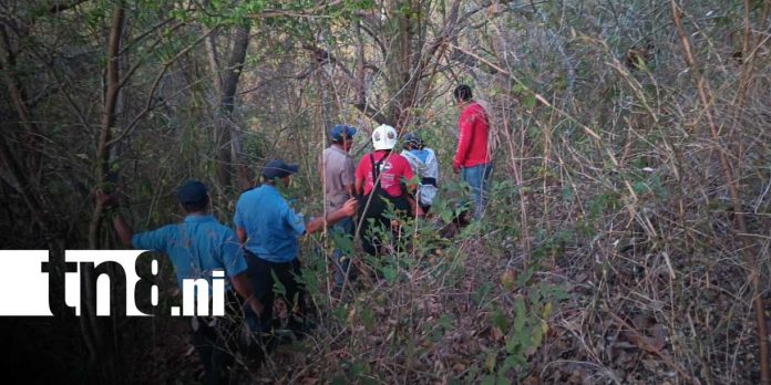 Foto: Abejas provocan muerte de joven en El Coyotepe/TN8 Foto: Abejas provocan muerte de joven en El Coyotepe/TN8