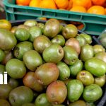 Foto: Alta demanda de frutas en El Mayoreo / TN8