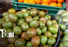 Foto: Alta demanda de frutas en El Mayoreo / TN8