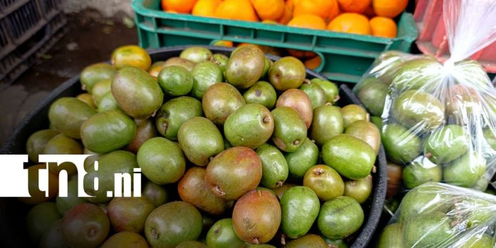 Foto: Alta demanda de frutas en El Mayoreo / TN8