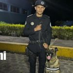 Foto: Suboficial Juan José Barrera y su compañero Duke, los ángeles de la búsqueda en Jinotega/ TN8