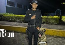 Suboficial Juan José Barrera y su compañero Duke, los ángeles de la búsqueda en Jinotega Foto: Suboficial Juan José Barrera y su compañero Duke, los ángeles de la búsqueda en Jinotega/ TN8