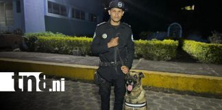 Foto: Suboficial Juan José Barrera y su compañero Duke, los ángeles de la búsqueda en Jinotega/ TN8