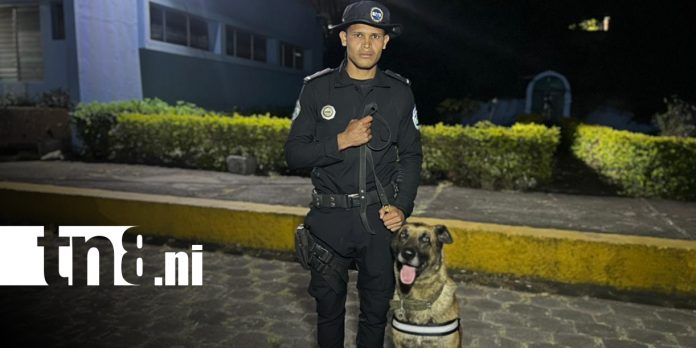Foto: Suboficial Juan José Barrera y su compañero Duke, los ángeles de la búsqueda en Jinotega/ TN8