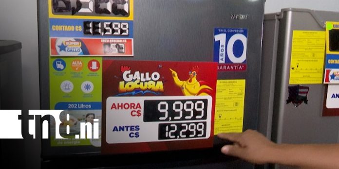 Foto: Gallo Locura llega con grandes descuentos/ TN8 Foto: Gallo Locura llega con grandes descuentos/ TN8