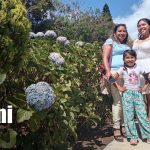 Foto: Familias disfrutan la naturaleza y los paisajes en los miradores de El Crucero/TN8