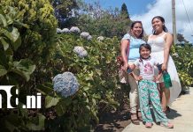 Foto: Familias disfrutan la naturaleza y los paisajes en los miradores de El Crucero/TN8