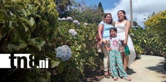 Foto: Familias disfrutan la naturaleza y los paisajes en los miradores de El Crucero/TN8