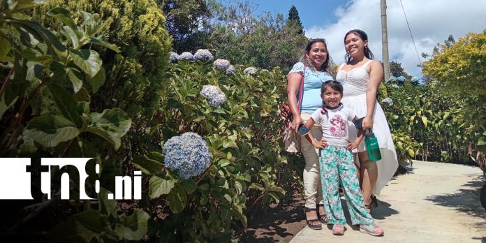 Foto: Familias disfrutan la naturaleza y los paisajes en los miradores de El Crucero/TN8