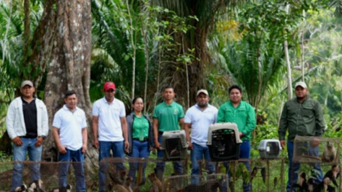 Foto: MARENA devuelve a su hábitat decenas de especies rescatadas en Nicaragua/Cortesía