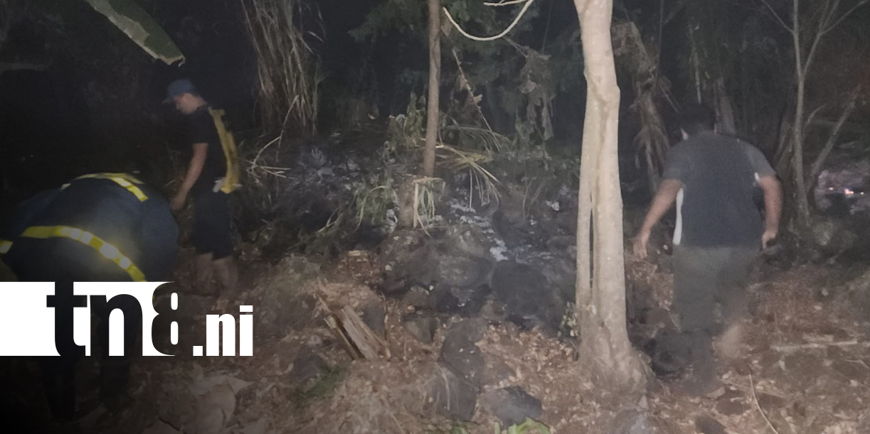 Foto: Incendio avanza sin control en Ometepe y alarma a pobladores/TN8