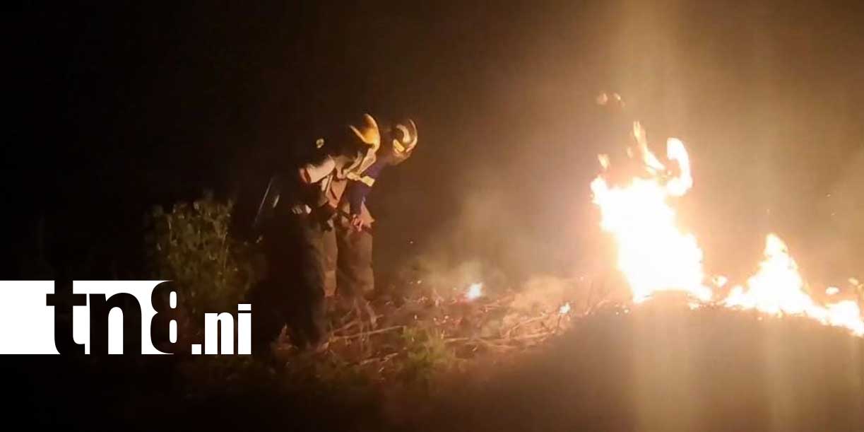 Foto: Incendio de maleza moviliza bomberos en Granada/TN8