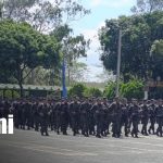 Foto: Cosecha cafetalera 2025-2026 en Nicaragua /TN8