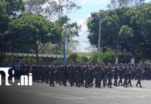 Foto: Cosecha cafetalera 2025-2026 en Nicaragua /TN8