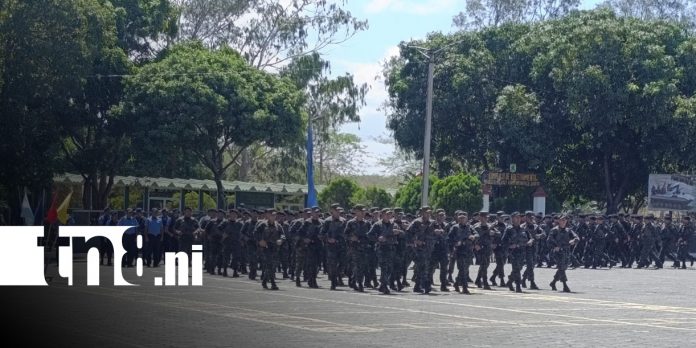 Foto: Cosecha cafetalera 2025-2026 en Nicaragua /TN8
