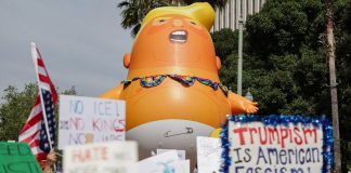 Foto: Masivas protestas en Estados Unidos /cortesía