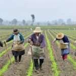 Foto: Colombia aprueba histórica ley agraria/ Cortesía