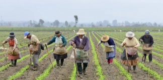 Foto: Colombia aprueba histórica ley agraria/ Cortesía