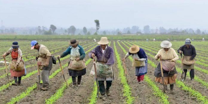 Foto: Colombia aprueba histórica ley agraria/ Cortesía
