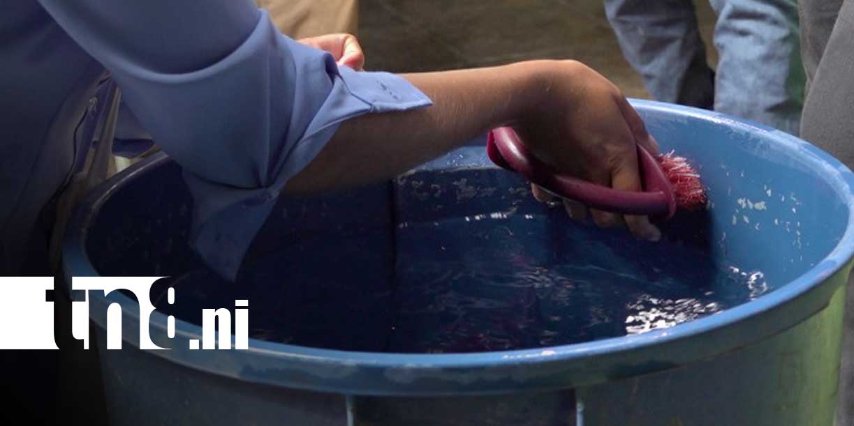 Foto: Managua intensifica prevención de dengue durante el verano / TN8