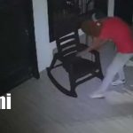 Foto: Cámaras captan rápido robo en Rivas: se llevan de todo/TN8
