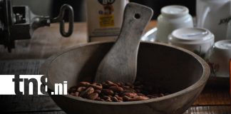 Foto: INTUR impulsa la Ruta del Cacao en finca agroecológica de Nandaime/ TN8