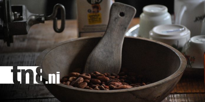 Foto: INTUR impulsa la Ruta del Cacao en finca agroecológica de Nandaime/ TN8